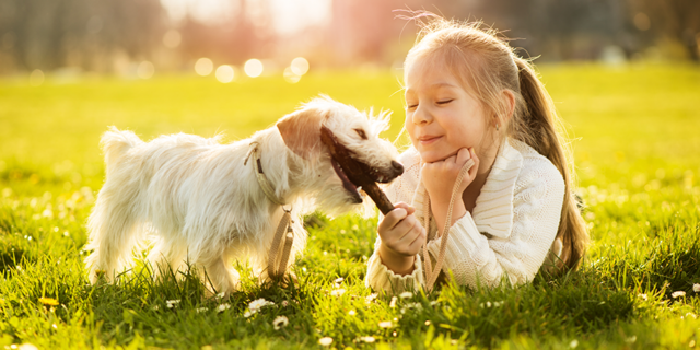 Motivos para dar um cachorro aos filhos e benefícios dessa escolha